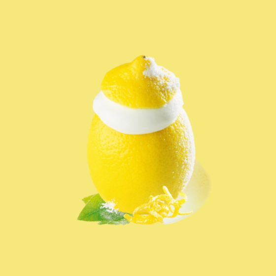 4 Citrons givrés